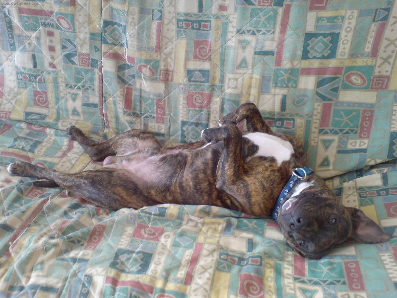 Foto: po pr�ci-oddech po celodenn� d�in�