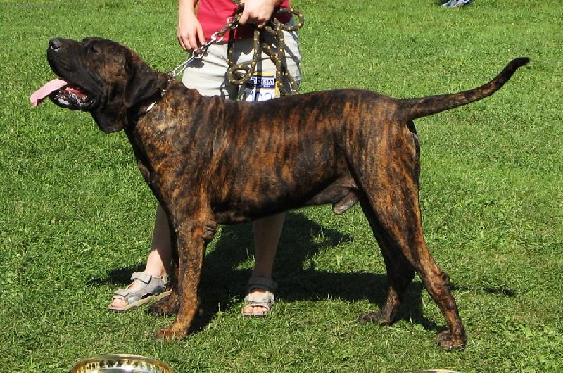 Foto: Burgos Bascoretta