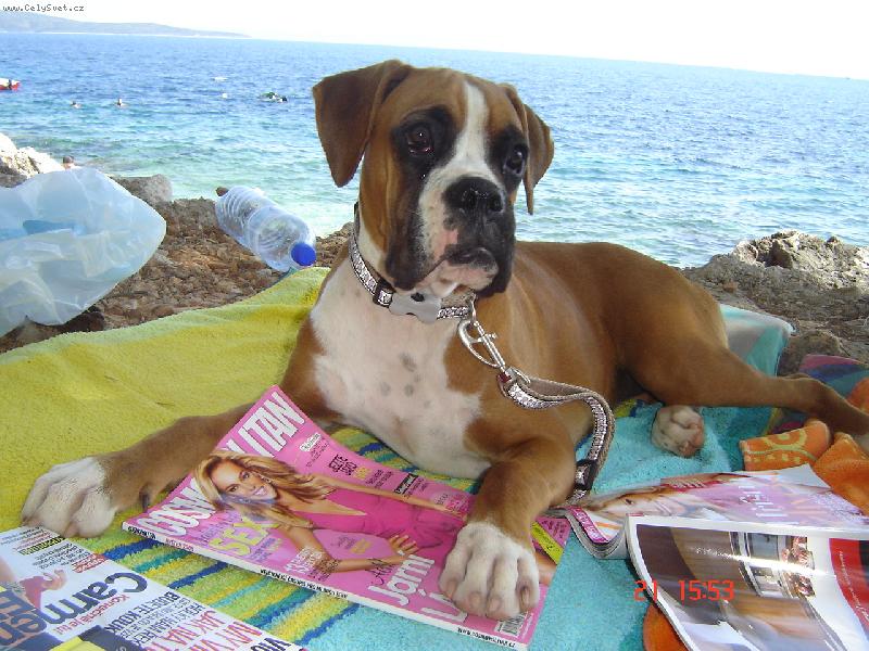 Foto: Roxy-Dovolen� u mo�e...:-)