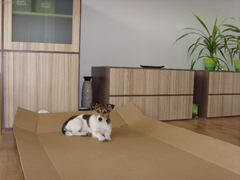 Foto: Hled�m kamar�dy/ky