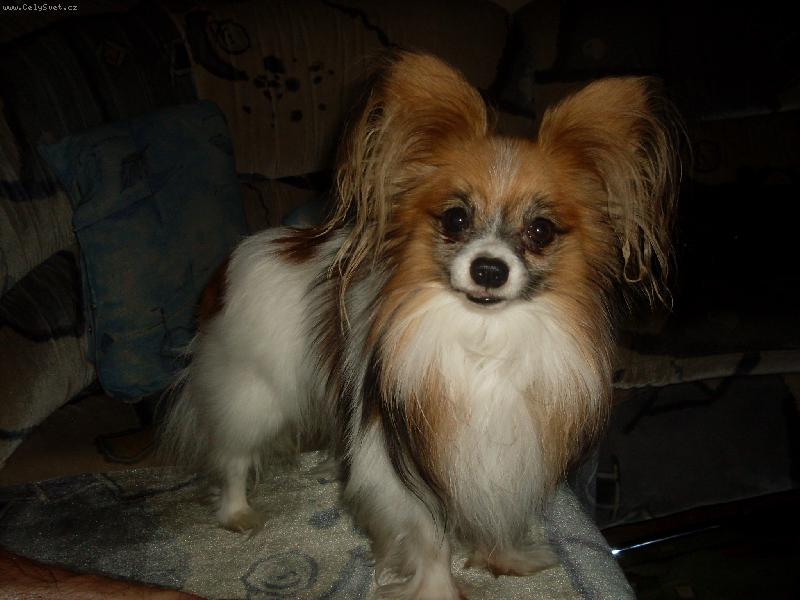 Foto: N� milovan� Kime�ek