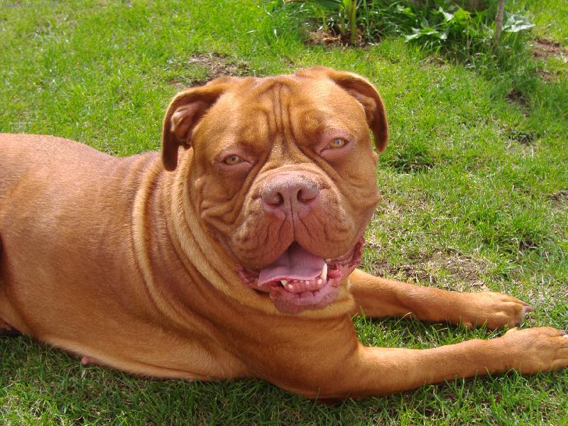 Foto: �sm�v pros�m