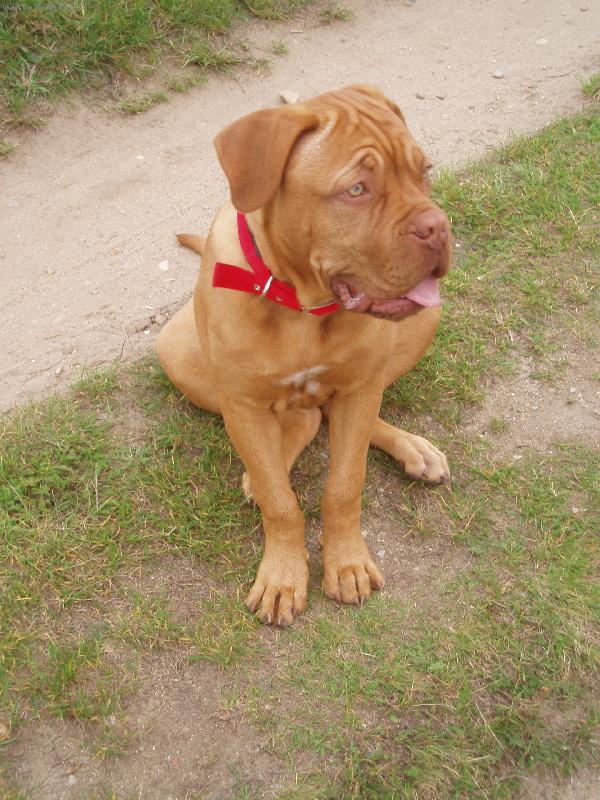 Foto: Pauzi�ka....