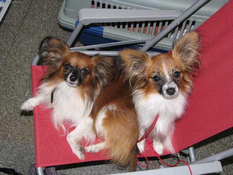 Foto: v�stava-�ek�n�-Barbie Atilla