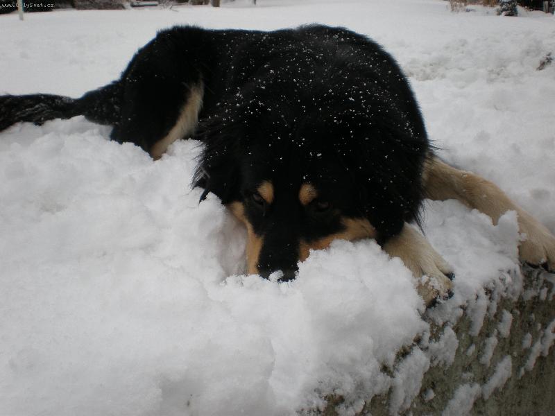 Foto: Akim ve sn�hu