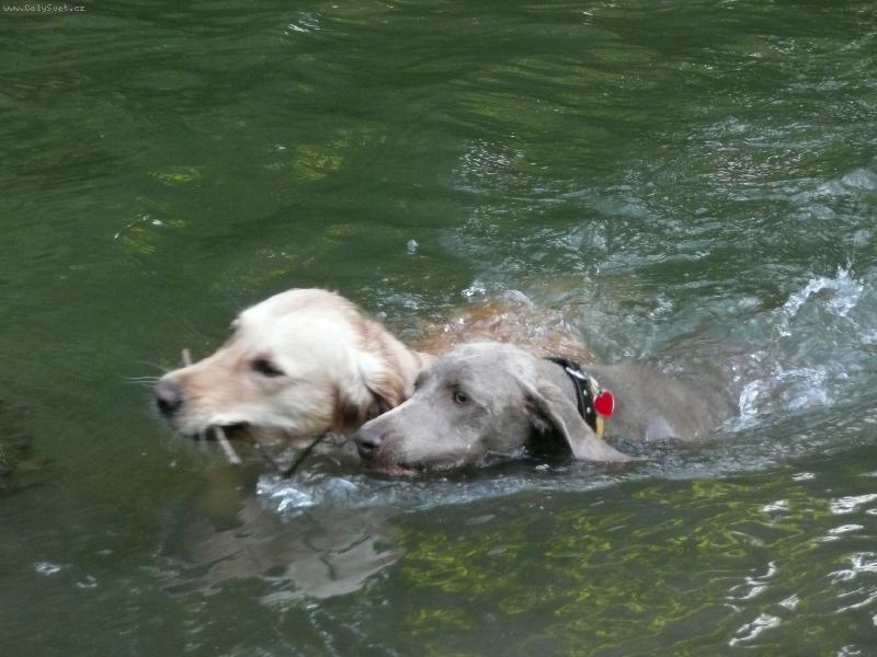 Foto: S kamar�dkou Meginkou