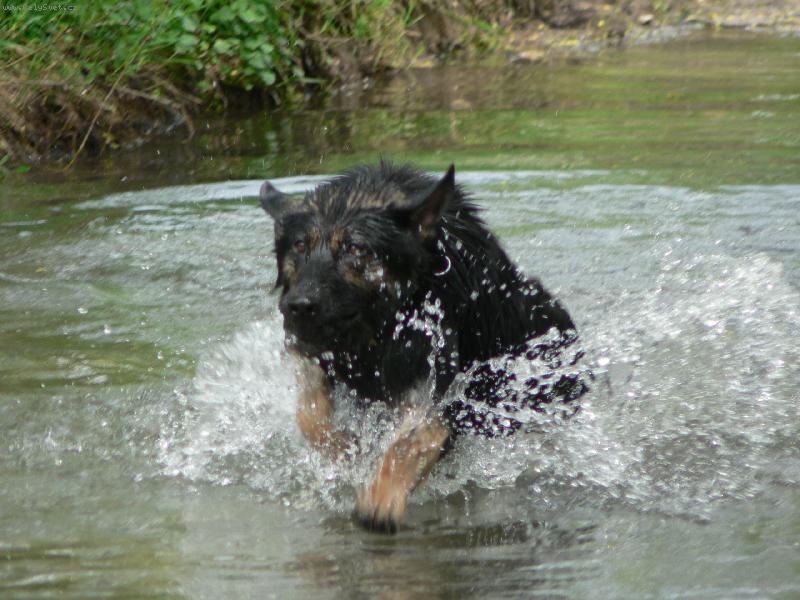 Foto: U� be��m...-Gera