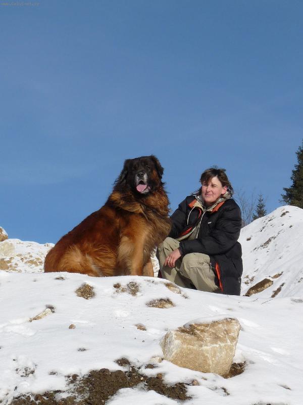 Foto: pozovani s panickou