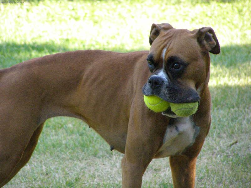 Foto: Aemi-m��ky jsou jen moje