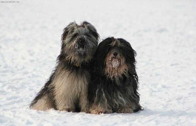 Foto: Nam�k a As�nek