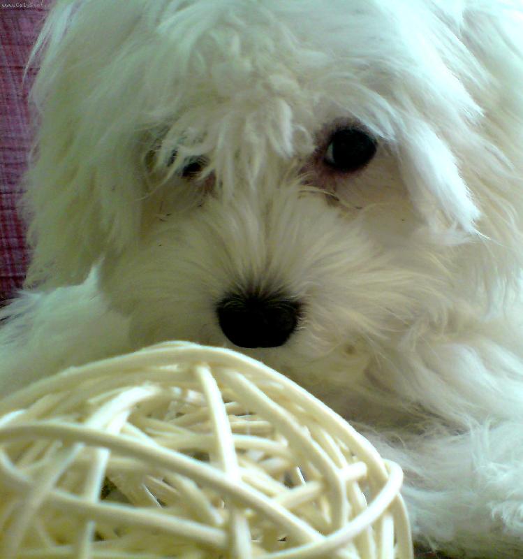 Foto: Na�e Jessyne�ka :)