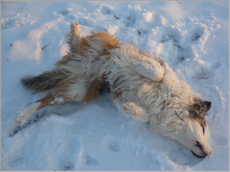 Foto: sn�n� lab��o