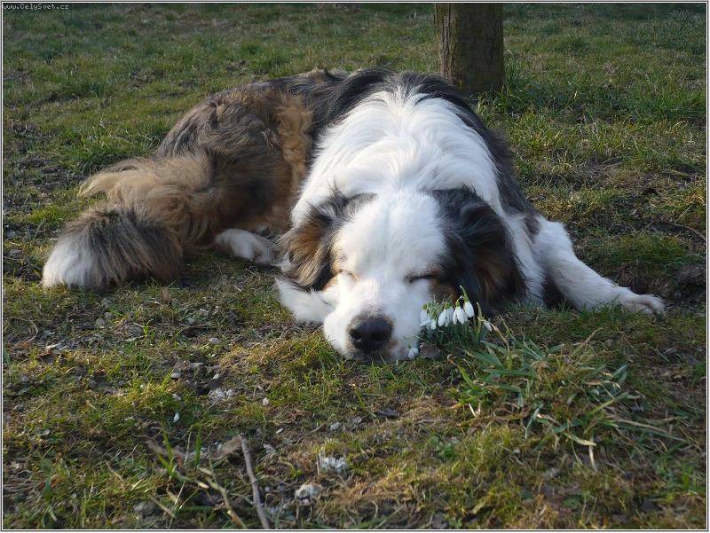 Foto: jarn� �nava