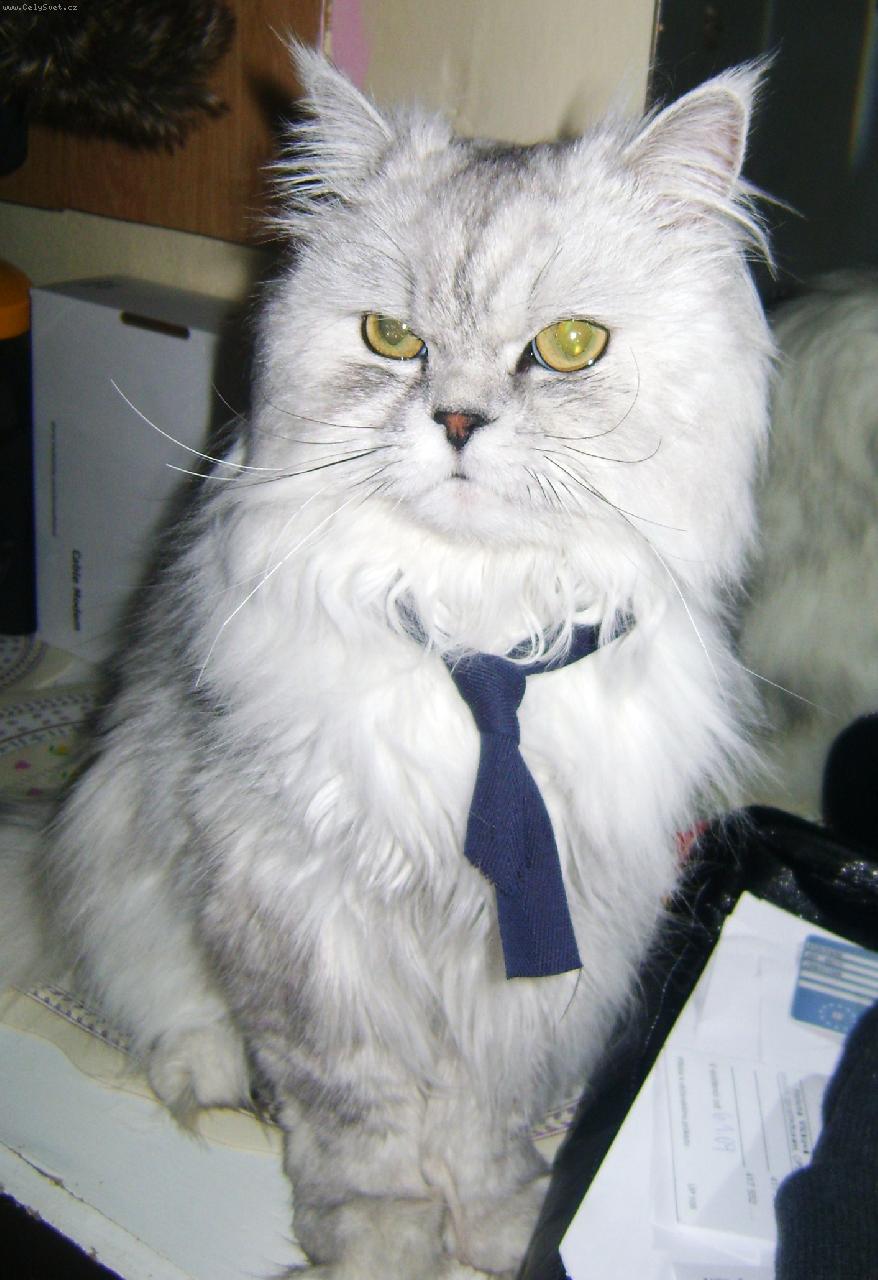 Foto: Moure�ek-Frajer, n� kluk