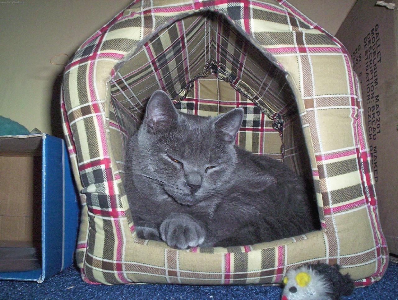 Foto: Relax-foto na�� Ka�enky