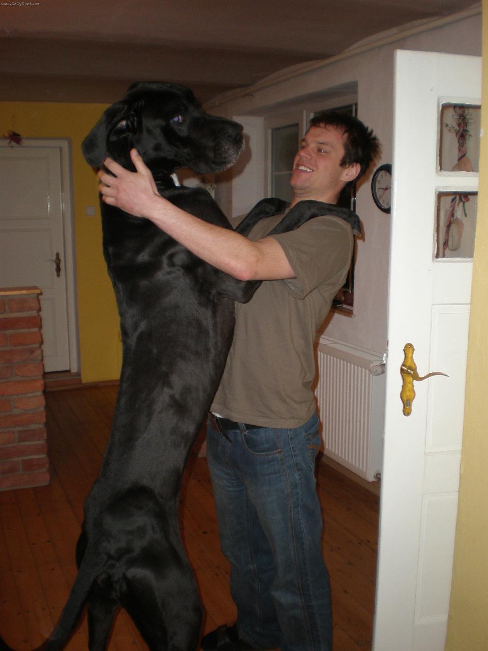 Foto: Coffi-Kdo je v�t��