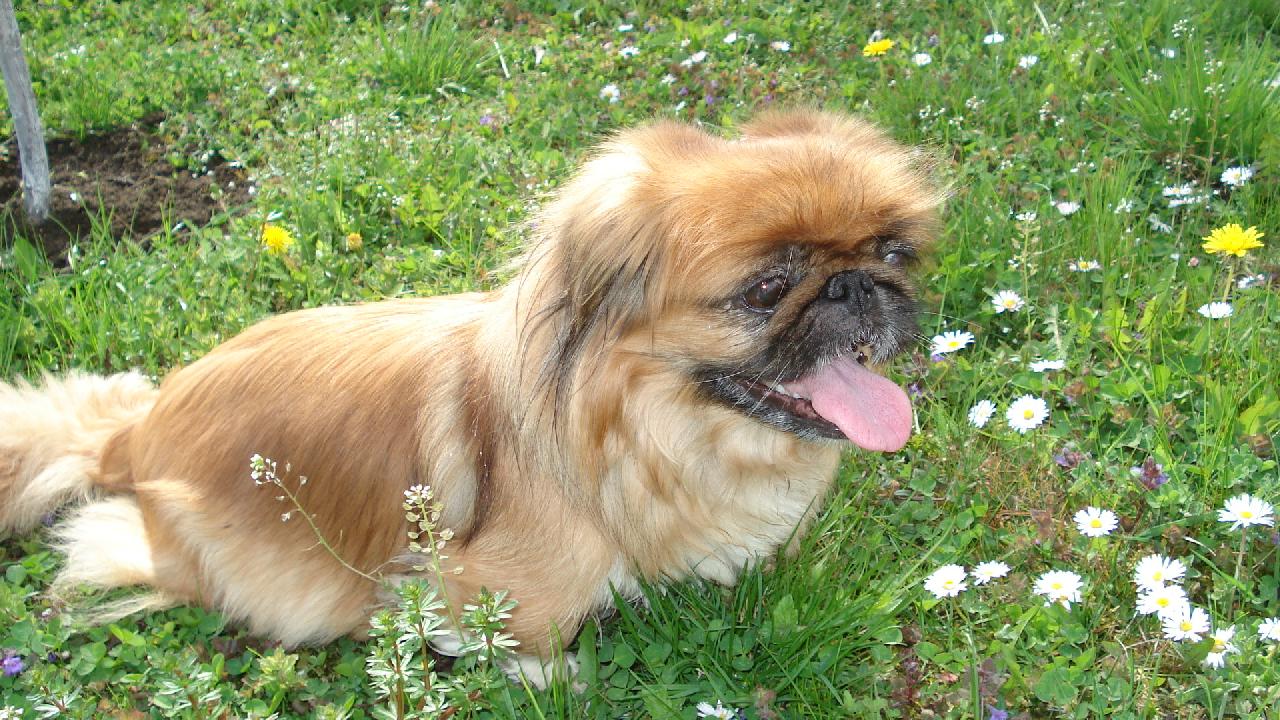 Foto: p�i�lo jaro-peggy