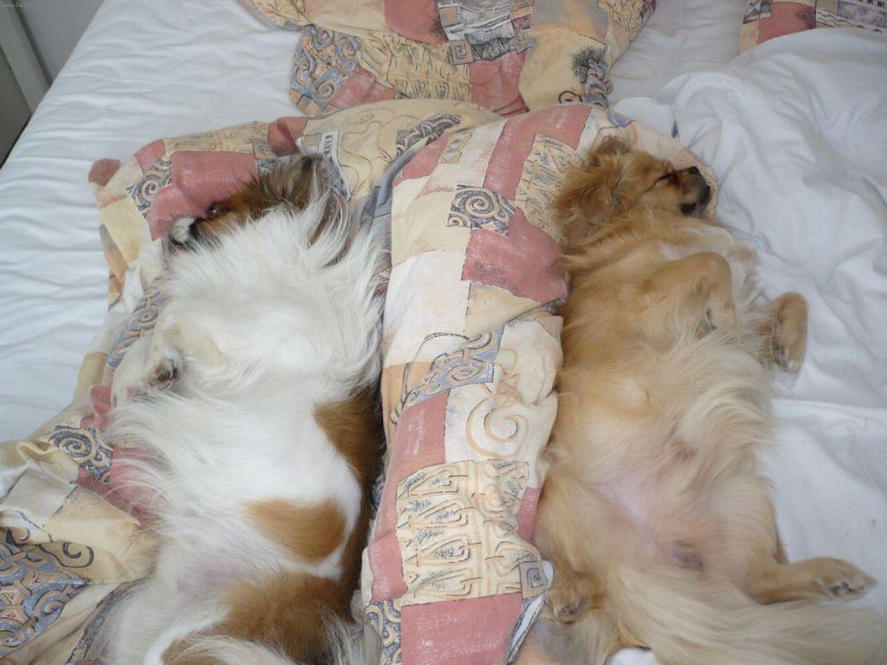 Foto: Odpo�inek-Odpo�inek