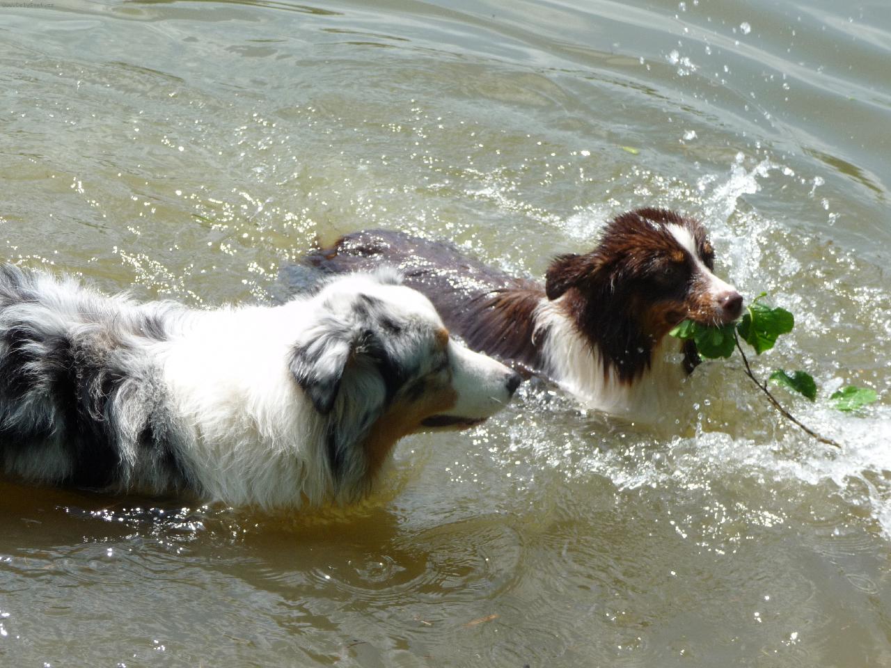 Foto: M�am, m�am...