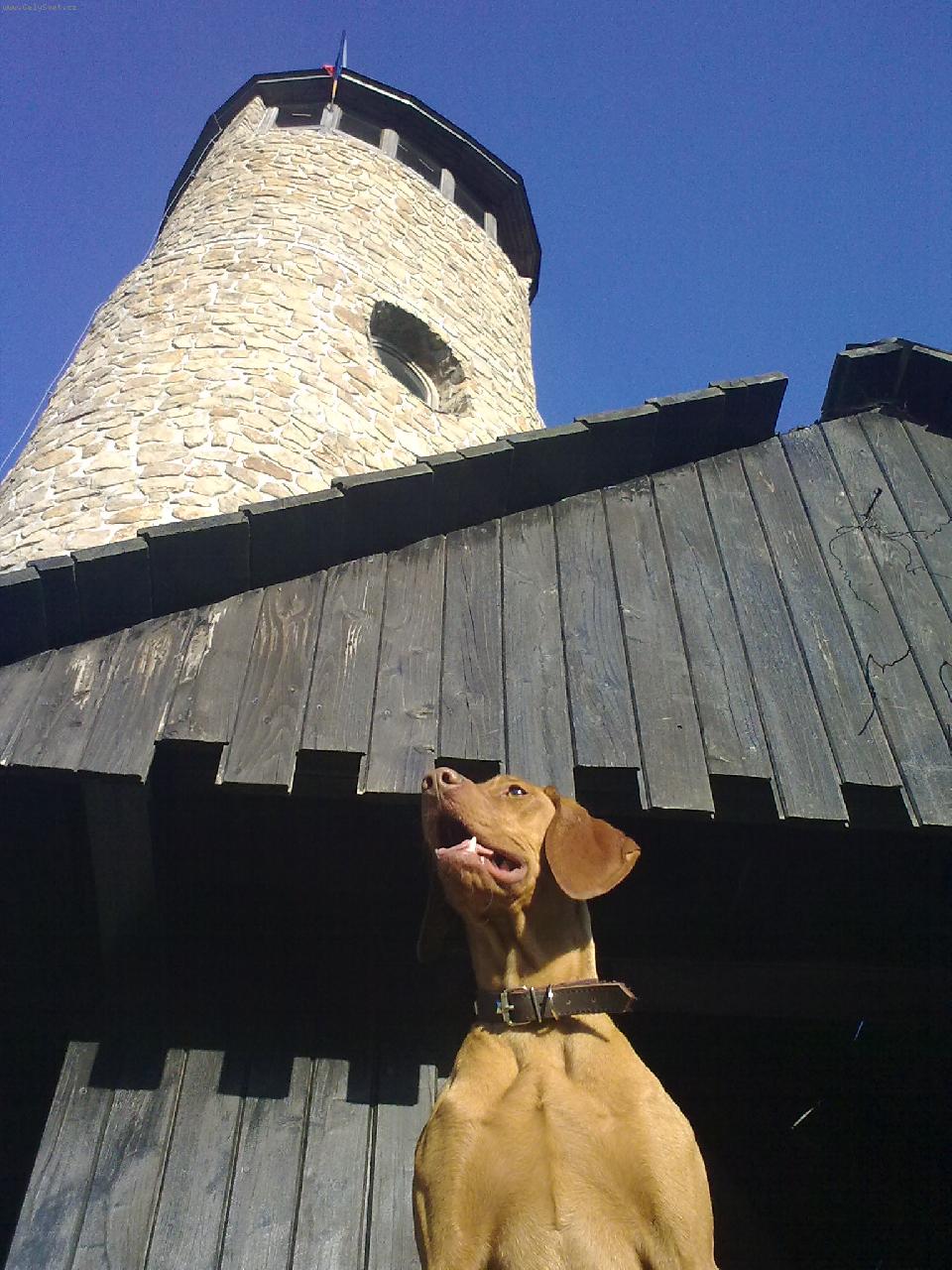 Foto: Maila z Topoln�-Brdo