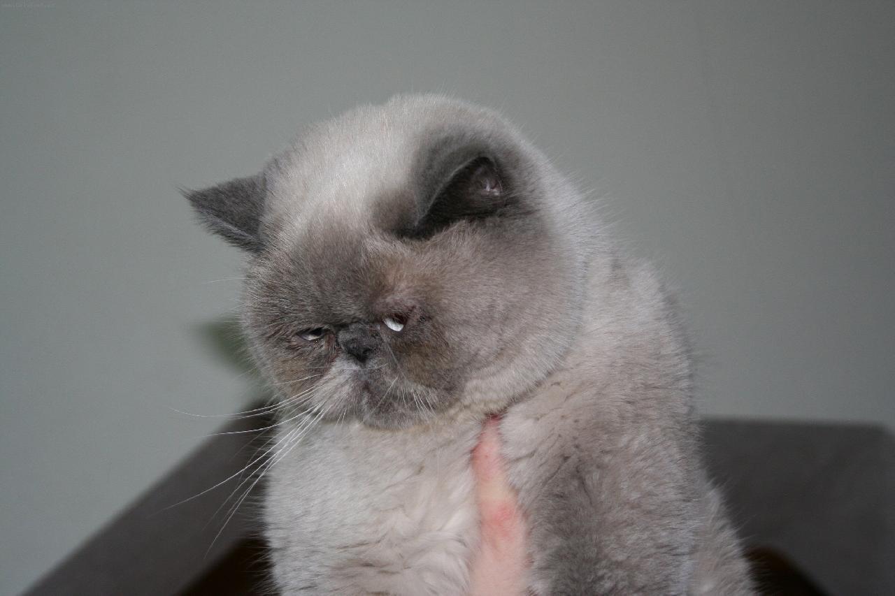 Foto: Eli�ka-mazel