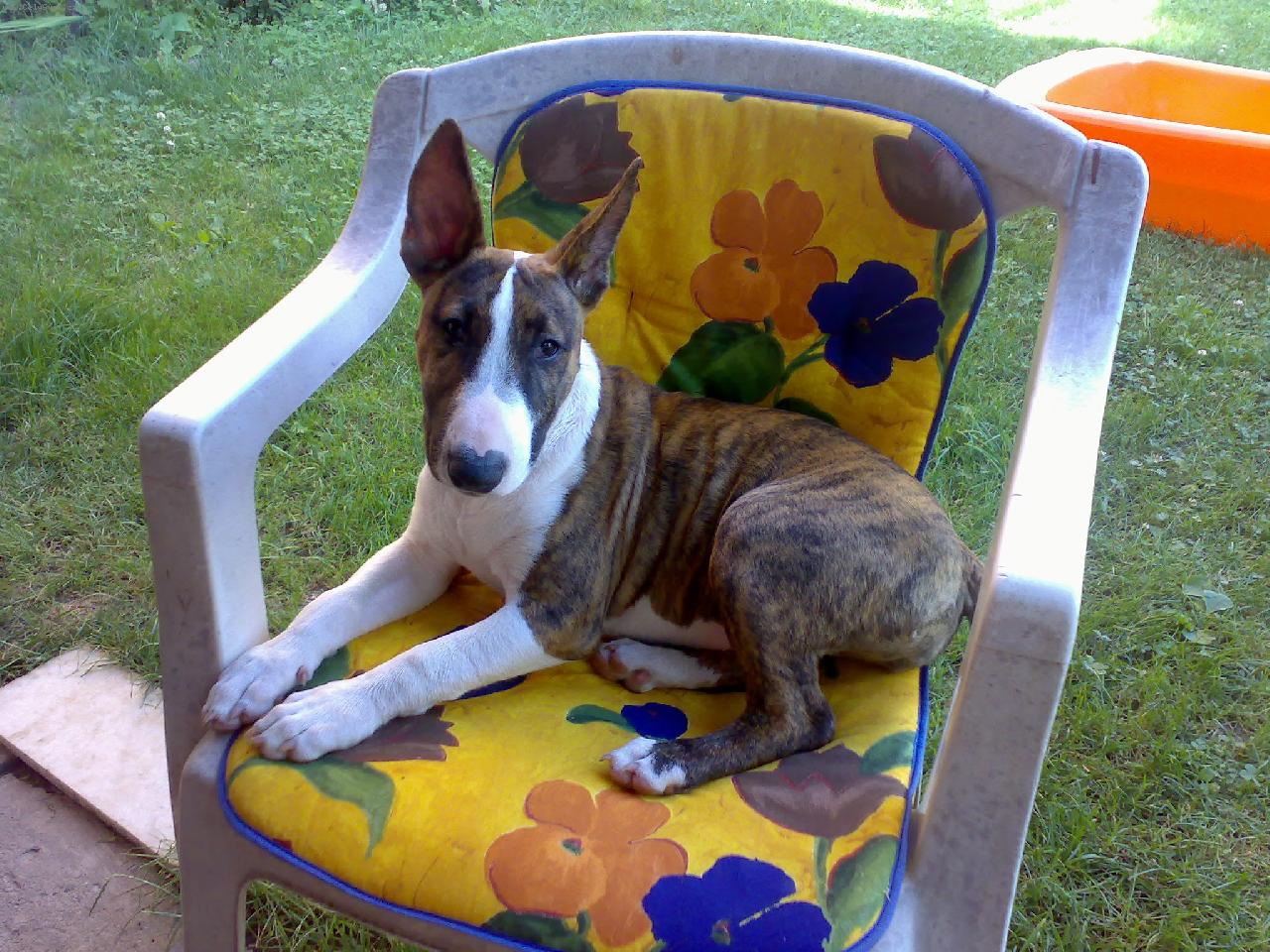 Foto: Nelinka-Na zahrad�