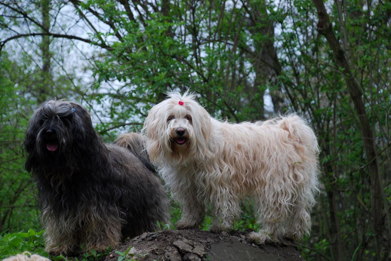 Foto: Siddhi a Byemka-br�ka a star�� sest�i�ka