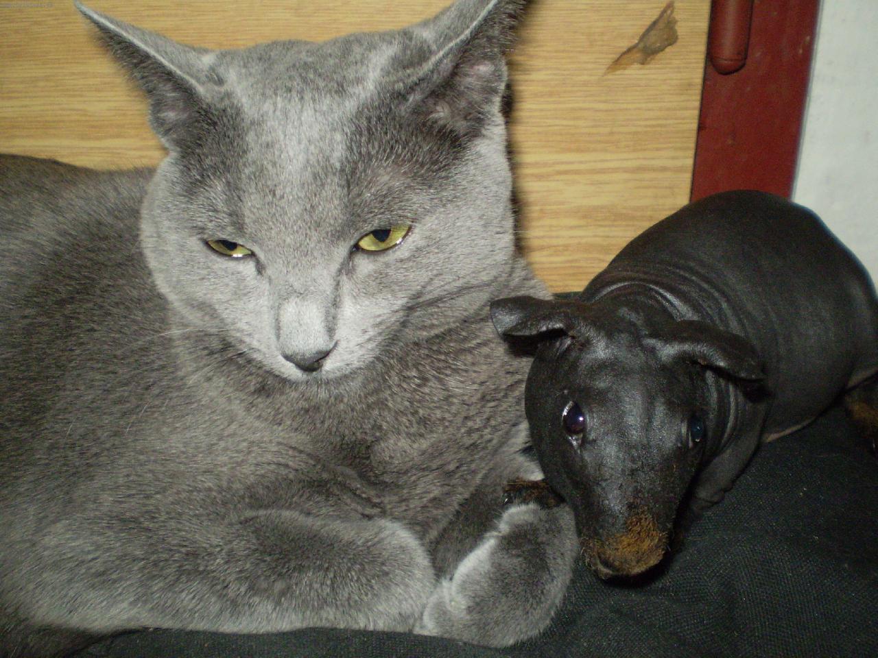 Foto: Leont�nka a Espritek :-)