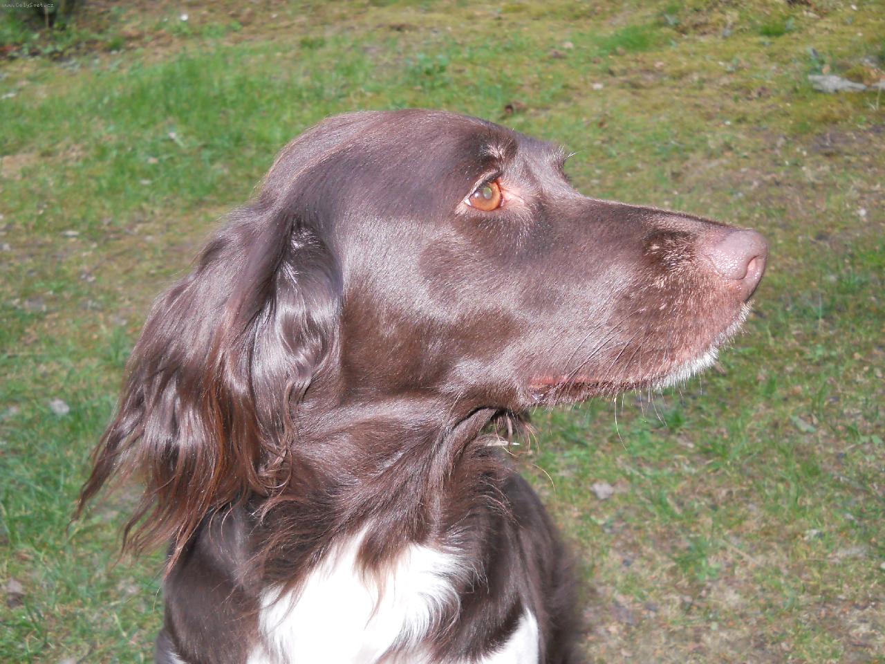 Foto: Grey z Rozbornu