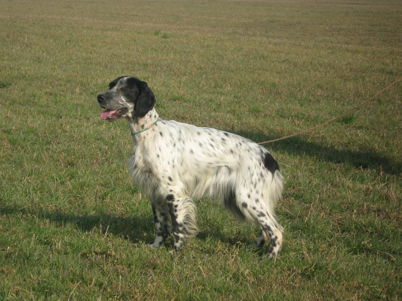 Foto: OLLY-OLIVA-ITALIA-ALLENAMENTO