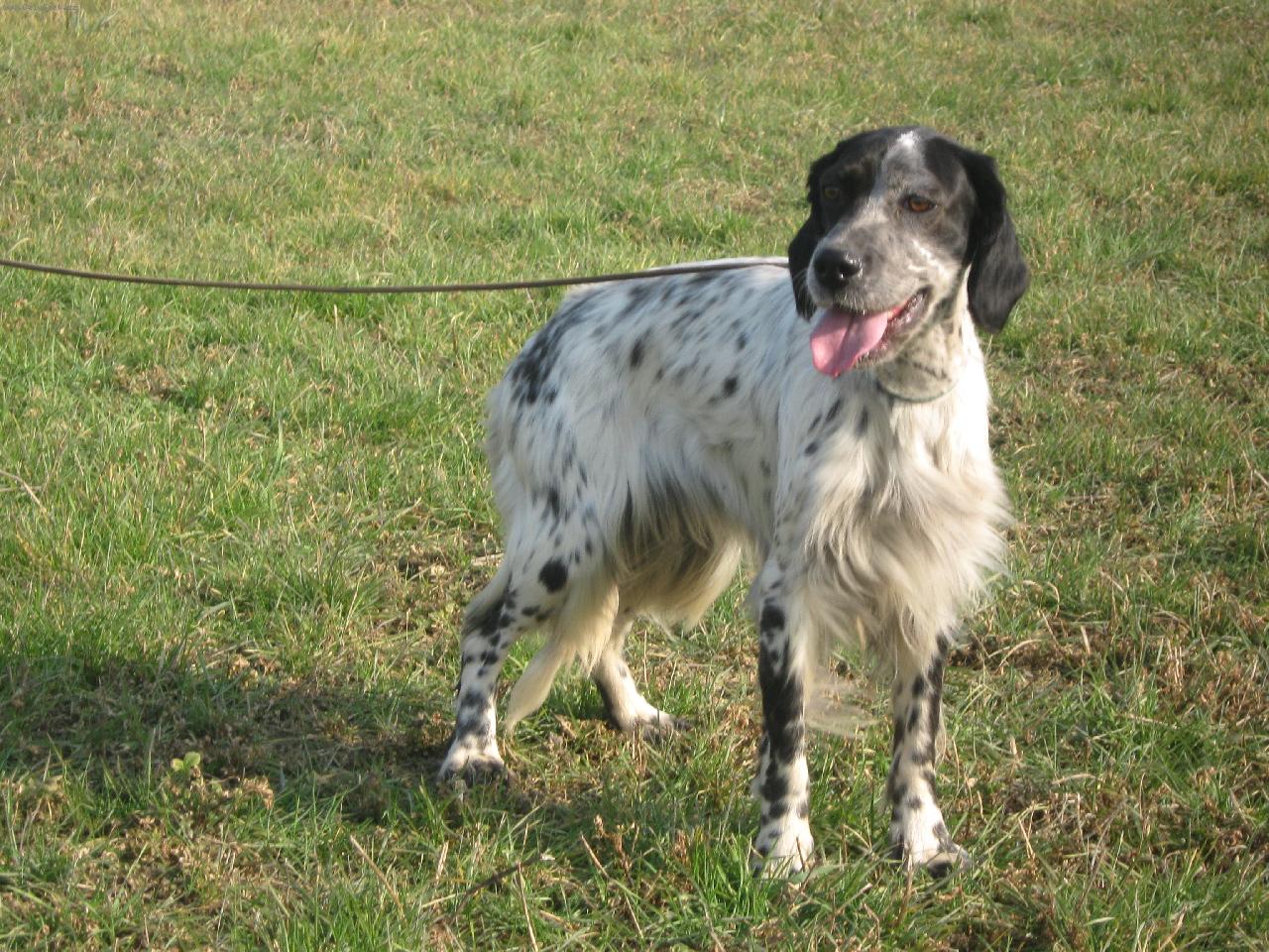 Foto: OLLY-OLIVA-ITALIA-ALLENAMENTO