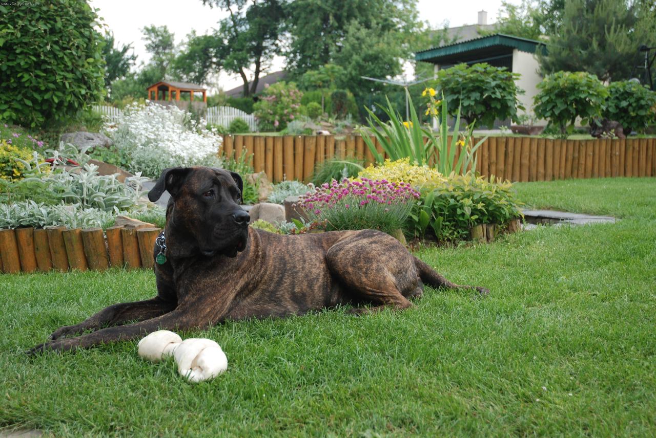 Foto: Kess-na zahr�dce