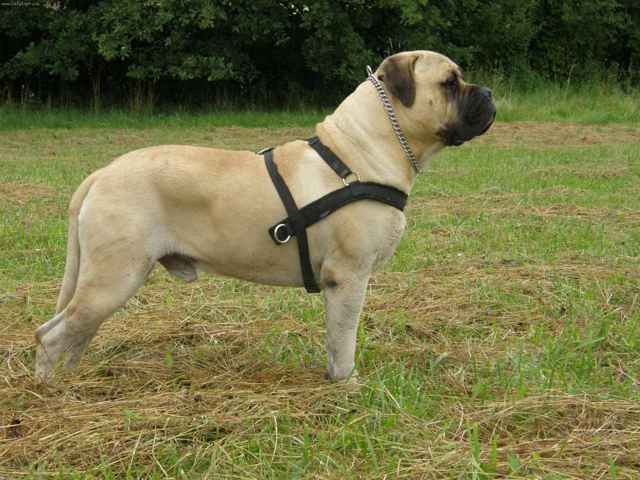 Foto: GORDON Nad�je ze Zvole