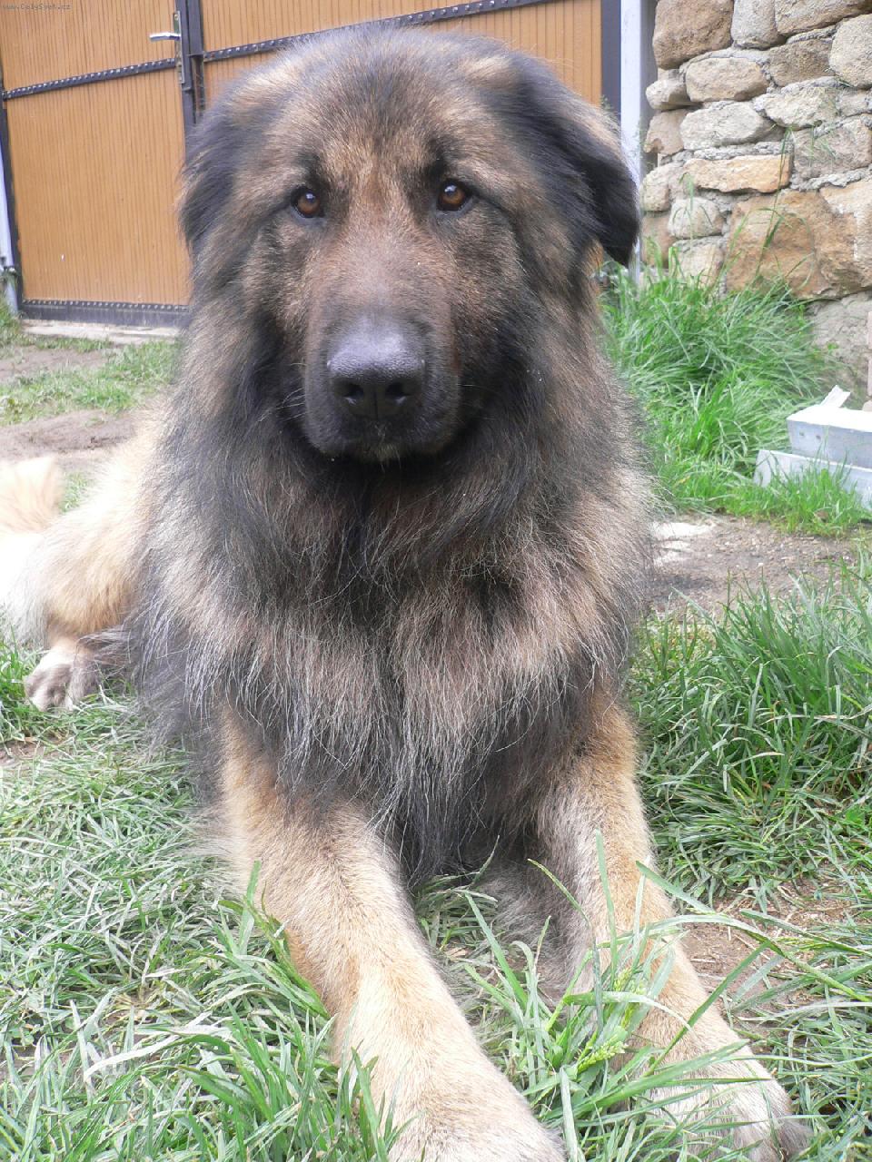 Foto: Albert-hl�da�