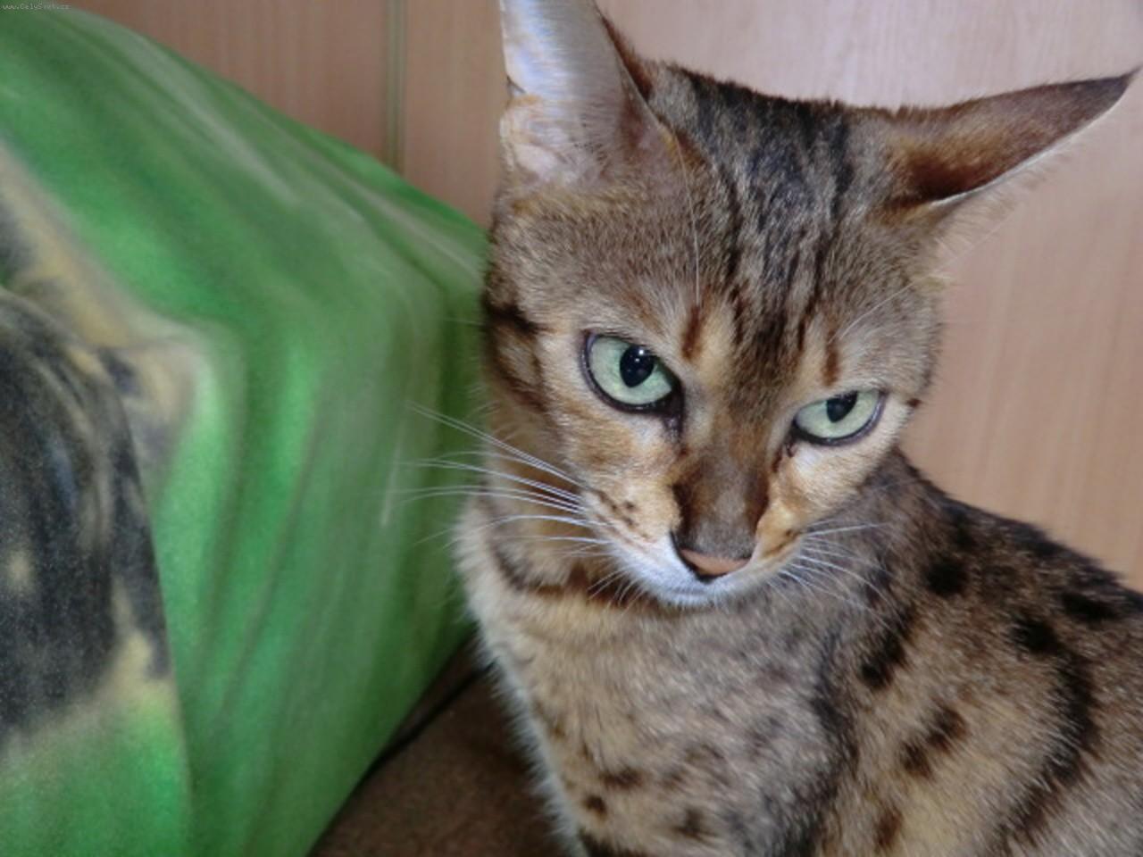 Foto: Rebeka.-To je k zamy�len�!