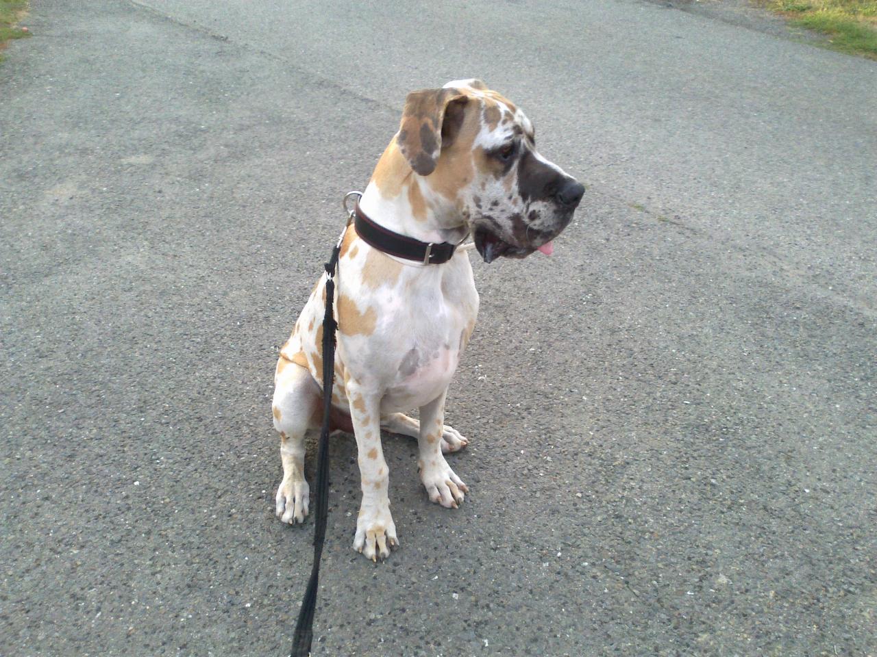 Foto: prost� mil��ek