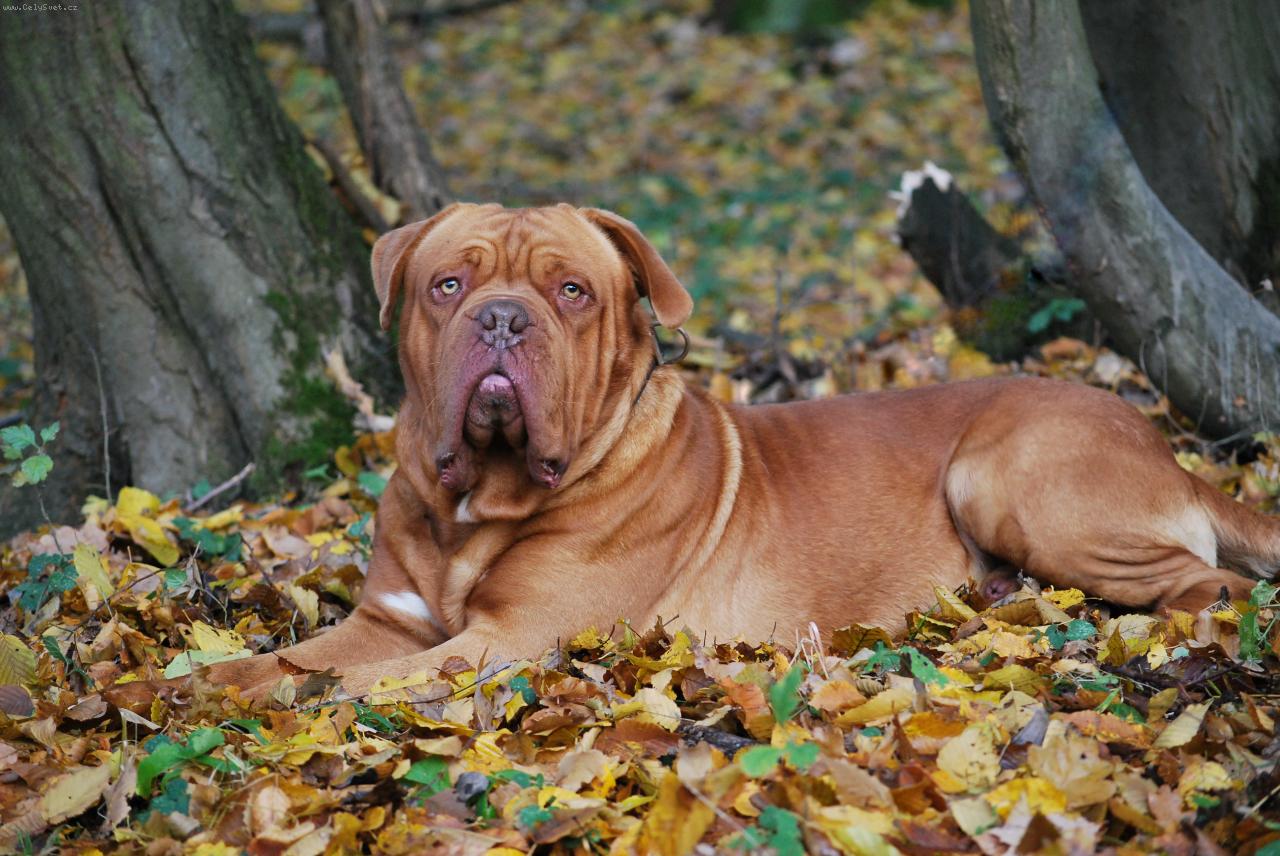 Foto: Arxio-ARX�K 2 ROKY