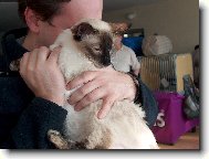 Minttu - �elvovinov� hol���ka