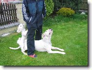 Kampak ten pamlsek pani�ka schovala???