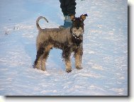 Kn�ra� pep� a s�l