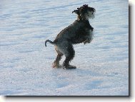 Kn�ra� pep� a s�l