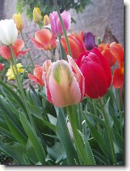 sm�s r�zn�ch barev