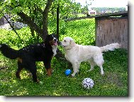 Max�k s kamar�dem