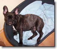 Roz�rka 5 m�s�c�