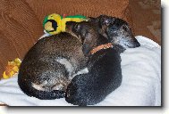 Starou�ek �end�k a mimino Tob�k :-)