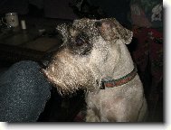 st�edn� k��ra�ka