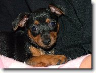 Poprv� doma - 7 t�dn�