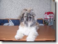 Akimek musel byt ost��han� kvuli velkemu teplu