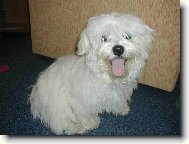 To m�m ale p�knej jaz��ek �e?