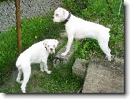 jak se v�m l�b�me